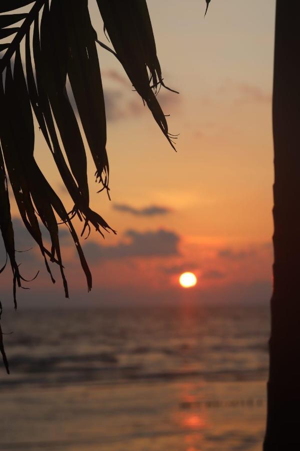 Young Wild And Free Koh Kong Exterior photo